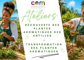Atelier découverte des plantes aromatiques-17 et 19 juin 2026