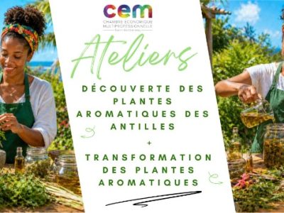 Atelier découverte des plantes aromatiques-17 et 19 juin 2026