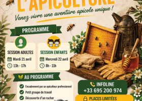 Initiation à l'apiculture