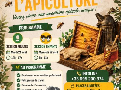 Initiation à l'apiculture