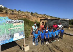 International Mangrove Ecosystem Day