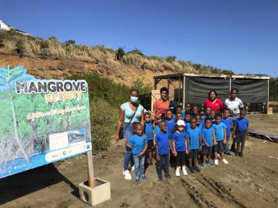 International Mangrove Ecosystem Day