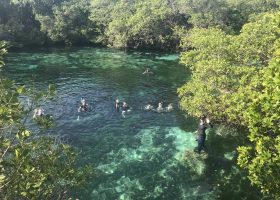 Mangrove & Reef Conservation Day