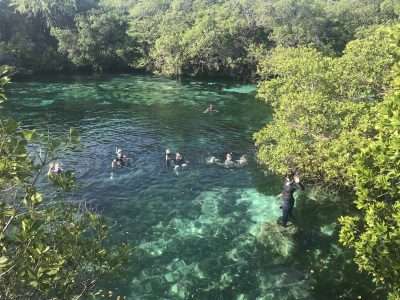 Mangrove & Reef Conservation Day