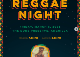 Moonsplash Reggae night