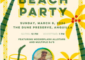 Moonsplash beach party