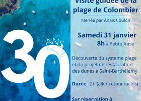 Visite guidée plage de Colombier-31 janvier