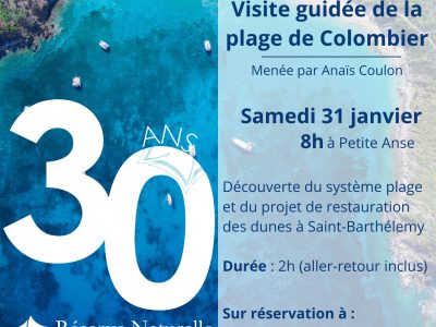 Visite guidée plage de Colombier-31 janvier