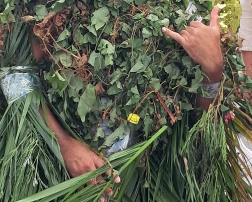 WhatsApp Image 2026-02-22 at 17.10.51-1